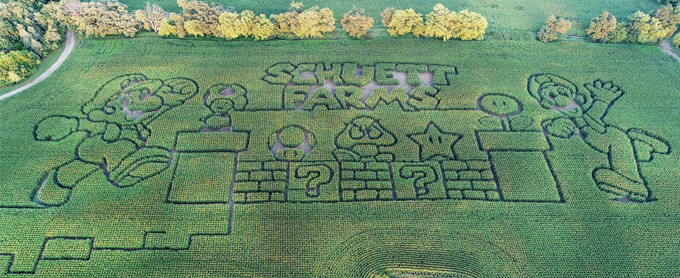 This is a picture of the best corn maze in Wisconsin