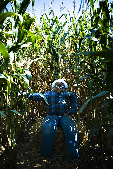 Wisconsin Corn Maze